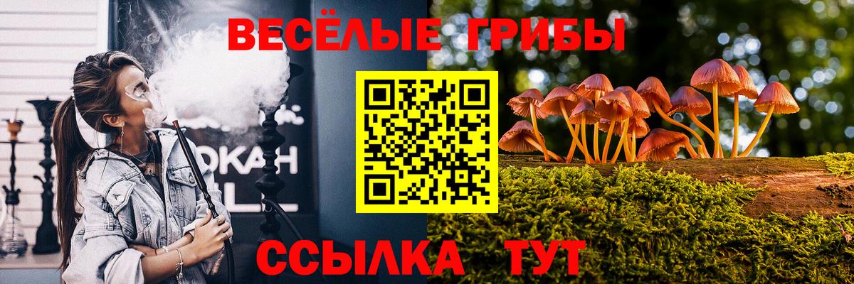 Галлюциногенные грибы Cubensis Майский