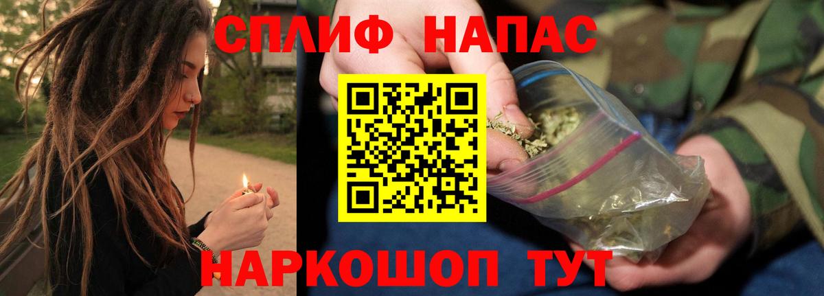 Канабис планчик Майский
